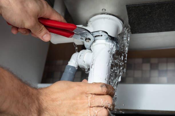 Best Flood damage cleanup  in Blue Grass, IA