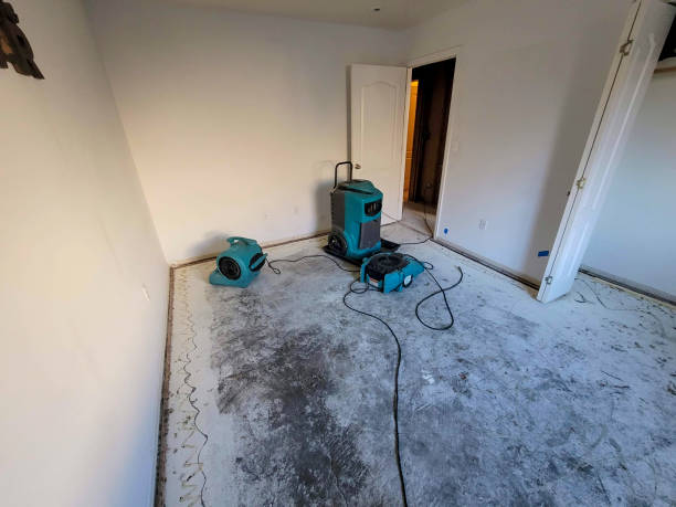 Best Water damage restoration insurance claims  in Blue Grass, IA