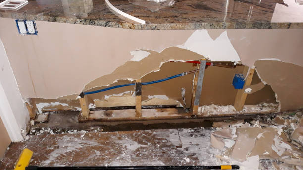 Best 24/7 water damage repair  in Blue Grass, IA