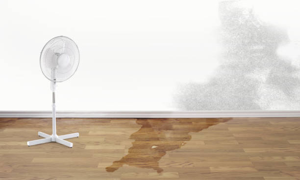 Best Emergency water damage restoration  in Blue Grass, IA