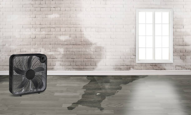 24/7 water damage repair in IA