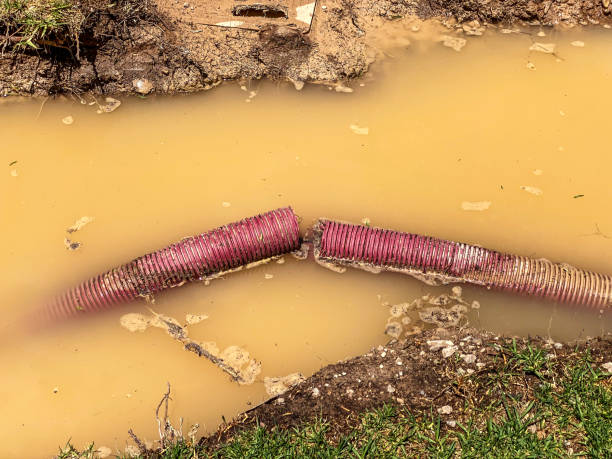 Best 24-hour water damage restoration  in Blue Grass, IA
