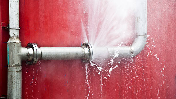 Best Water damage cleanup near me  in Blue Grass, IA
